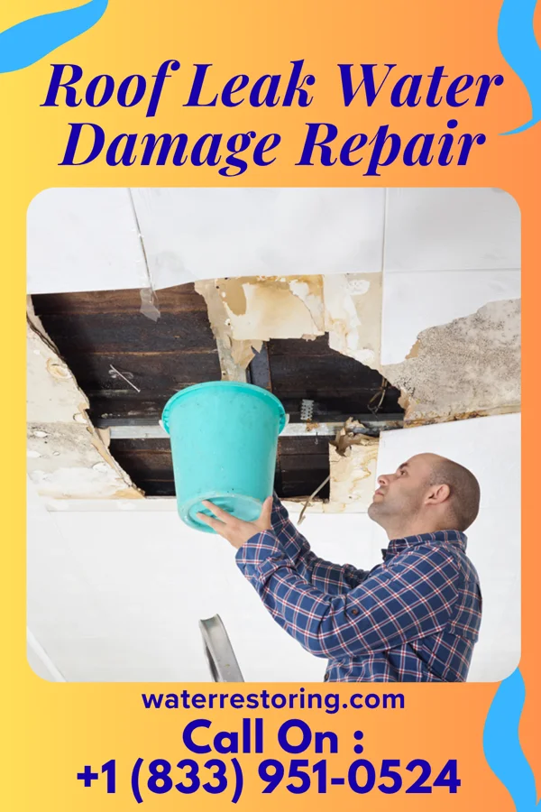 Roof Leak Water Damage Repair in Meadowlakes, TX
